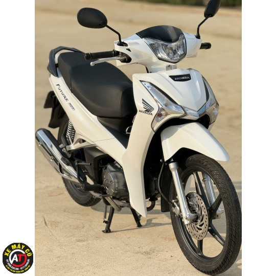 FUTER LEX 2019 TRANG BOM 