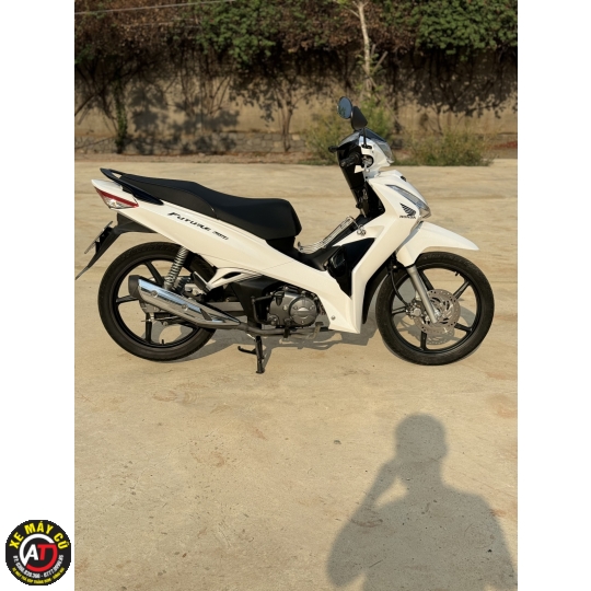 FUTER LEX 2019 TRANG BOM 